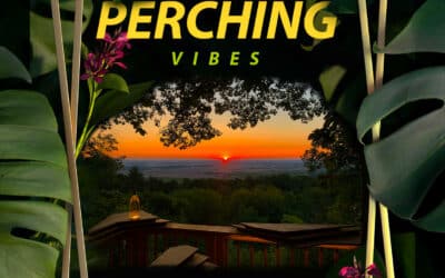 RESERVER Love Perching Vibes 27.08.2023