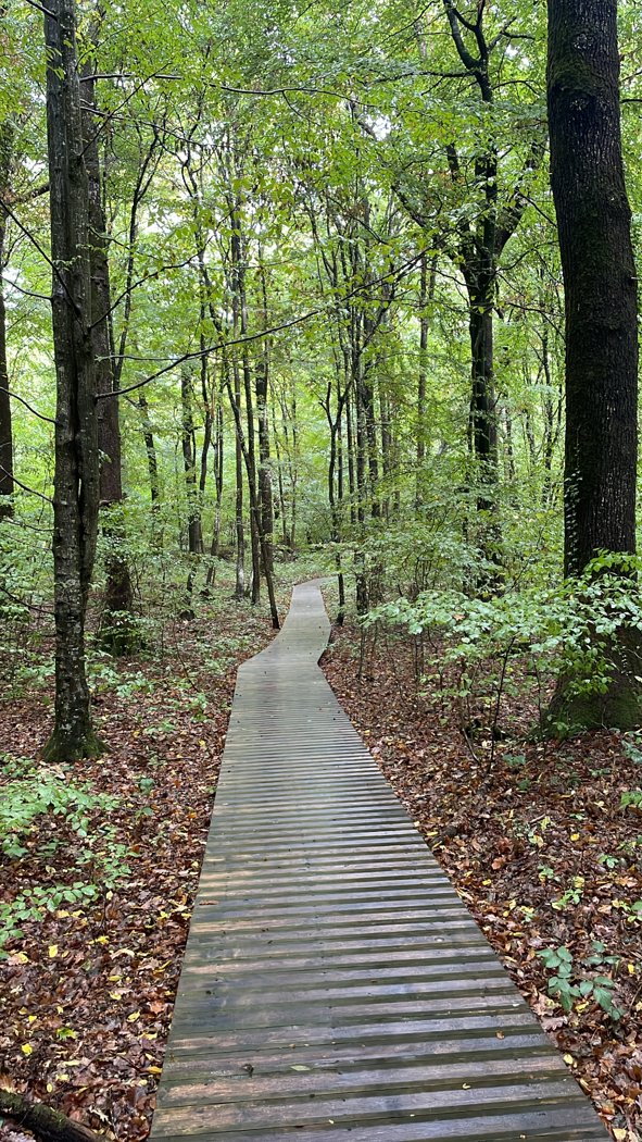 Perching Bar — Exterior view